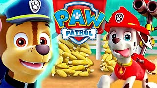 Paw patrol : Corn Roast Catastrophe Best app Gameplay screenshot 2