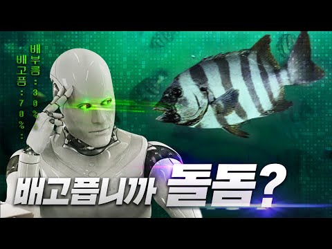 AI가 물고기의 배고픔을 알 수 있다고 해서 가봤습니다