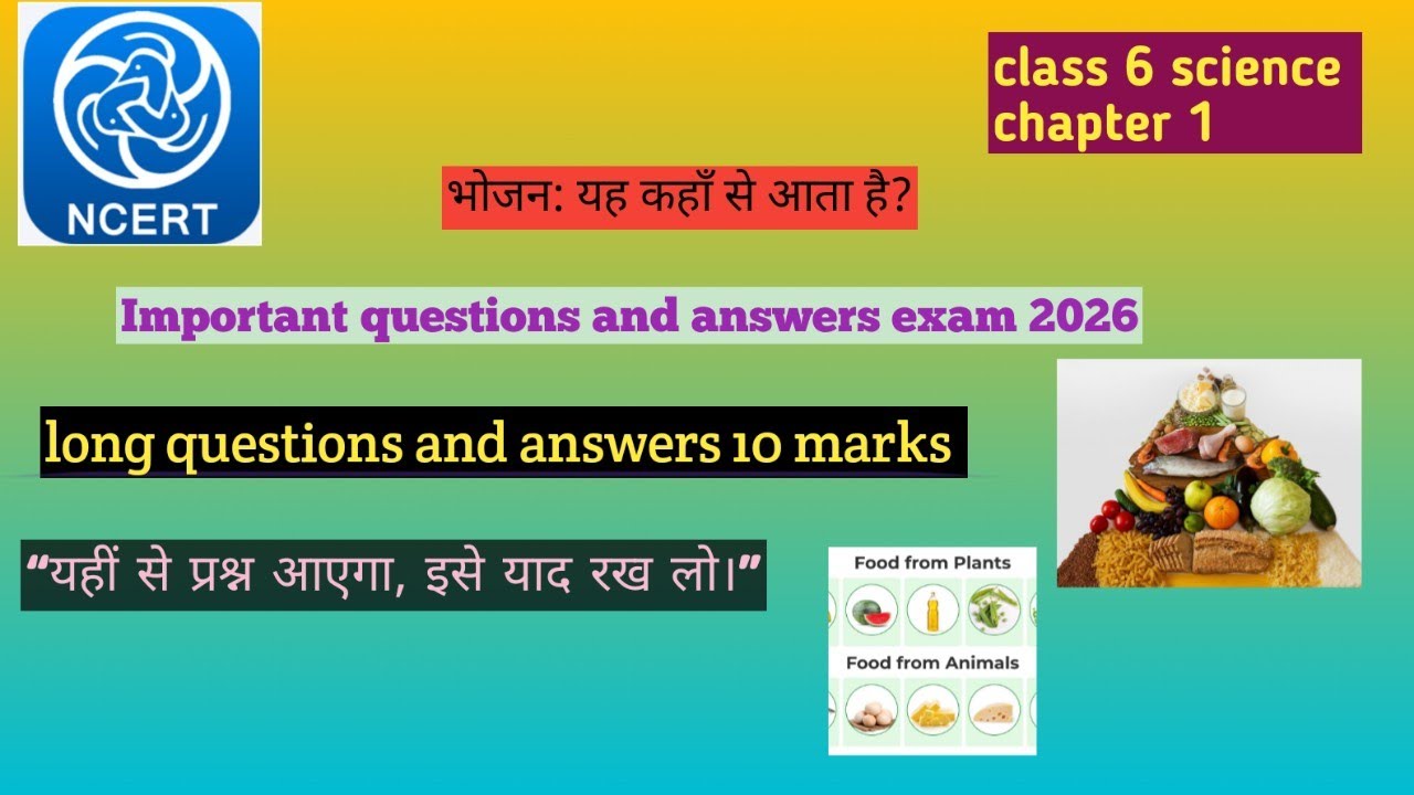 भोजन से जुड़े सभी Long Questions | Class 6 Science Chapter 1