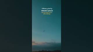 Lagu Sholawat Merdu