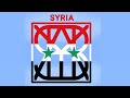 SYRIA 🇸🇾 FLAG LOGO