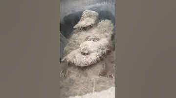 Twin Auger TMR Feed Mixer