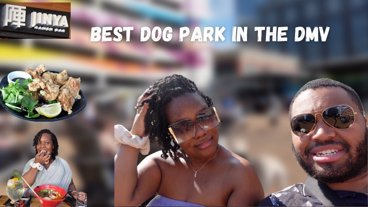 The BEST Dog Park in the DMV (**AND Some DELICIOUS Ramen**) YouTube