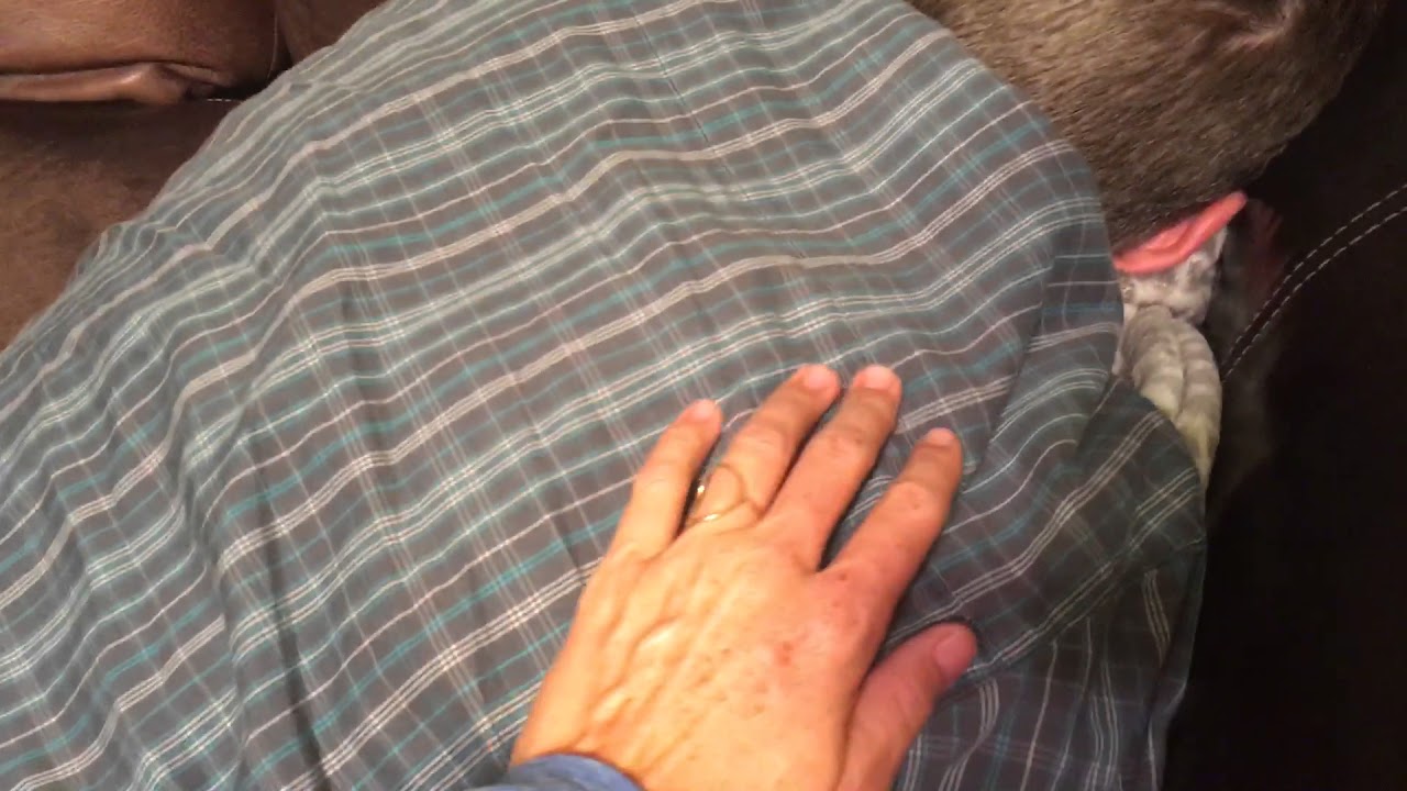 The Mobile Hot Spot - Tired Kev