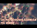 10 Cosas que no sabías de la genética - Hey Arnoldo