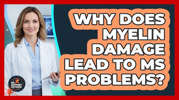 Why Does Myelin Damage Lead To MS Problems?