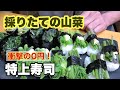 大量の【山菜】で超絶品な特上寿司が出来た