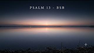 Psalm 13   BSB