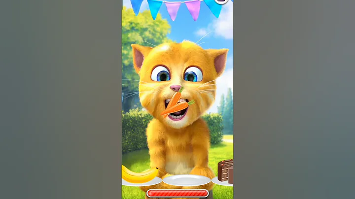 Video 7865911: talking tom ginger cat, talking tom cat game, talking ginger funny cat, cute cats talking tom