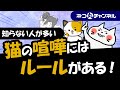 猫は喧嘩を避けるための平和的ルールを持っている!その訳を解説