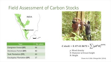 Carbon Sequestration in Natural Tropical Forests and Plantations