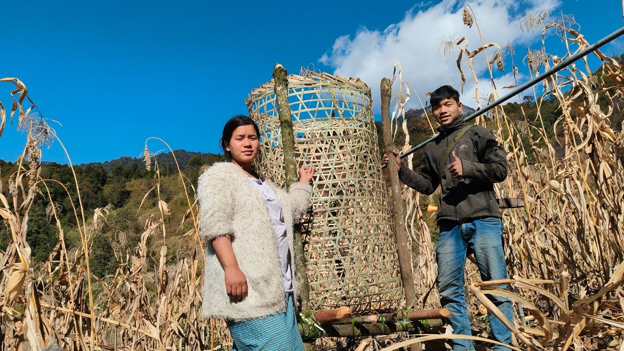 Day In My Life Village Vlogs | How We Spending A Day In Village?