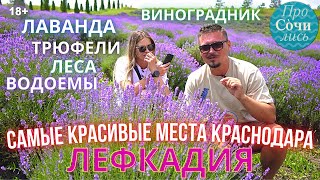 Долина ЛЕФКАДИЯ Краснодарский край ➤лучшие места отдыха ✔лавандовые поля ✔винодельня 🔵Просочились