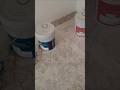 paint buy and wall putty #painting #shorts