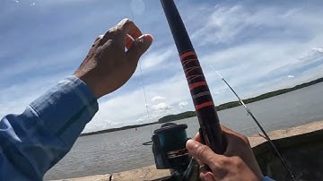 khám phá điểm câu cá mới ở Cần Giờ.