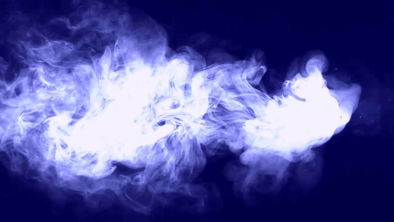 SKIPPER NEWS: Ein dubioses Video, ein ehemaliger Busfahrer trollt Paul und mehr.