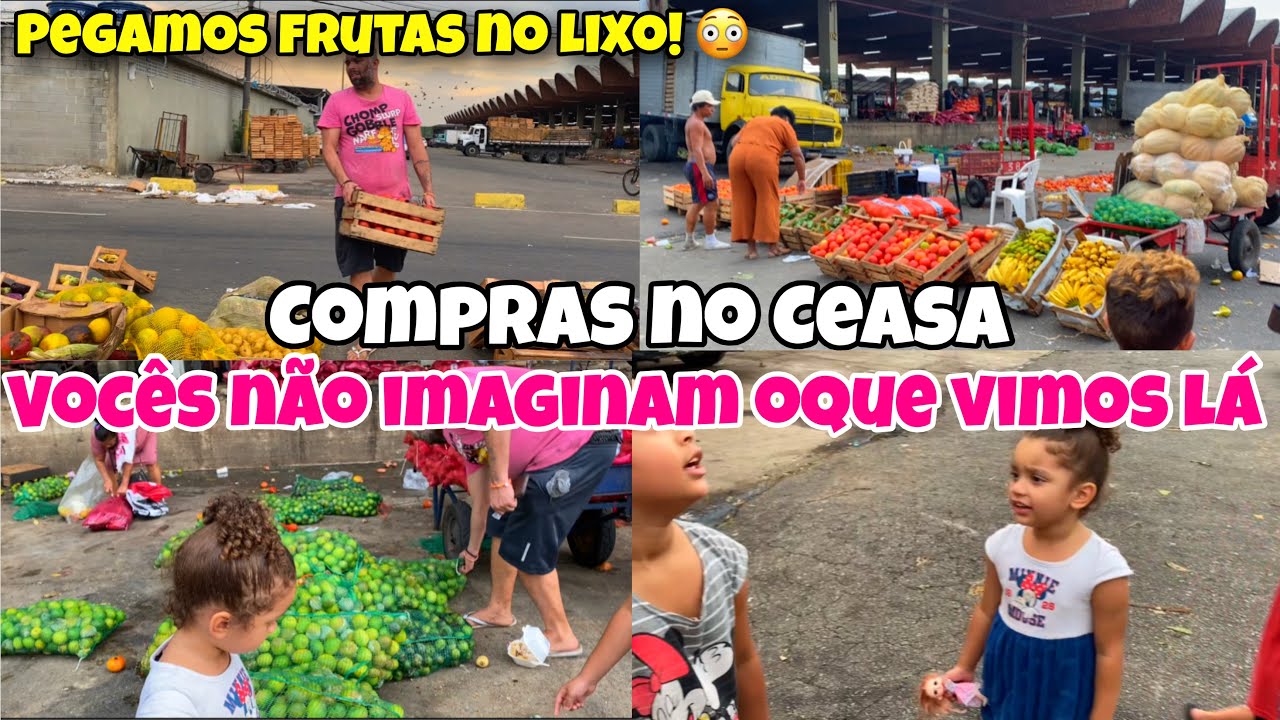 MUITA FRUTA E LEGUMES NO LIXO 😳 PEGAMOS | COMPRAS DO MÊS NO CEASA | ROTINA DE MÃE COM 5 FILHOS 