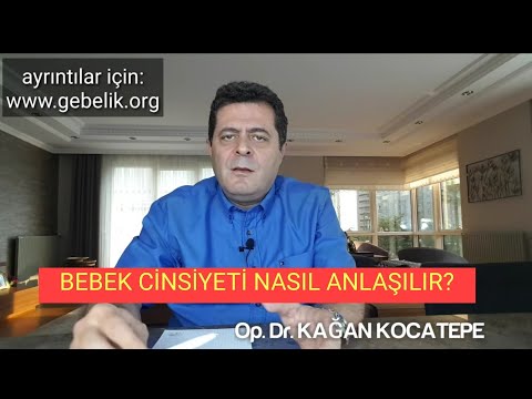 Video: Sadece Kediniz Gibi 18 Kere Vahşi Kediler Harekete Geçti