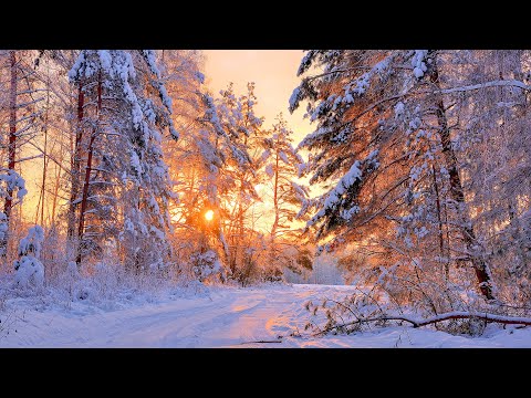 Видео: Нежная музыка, успокаивает нервную систему и радует душу - лечебная музыка для сердца и сосудов