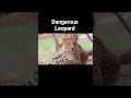Discovery of world and amazing