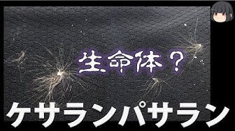 ケサランパサラン Youtube
