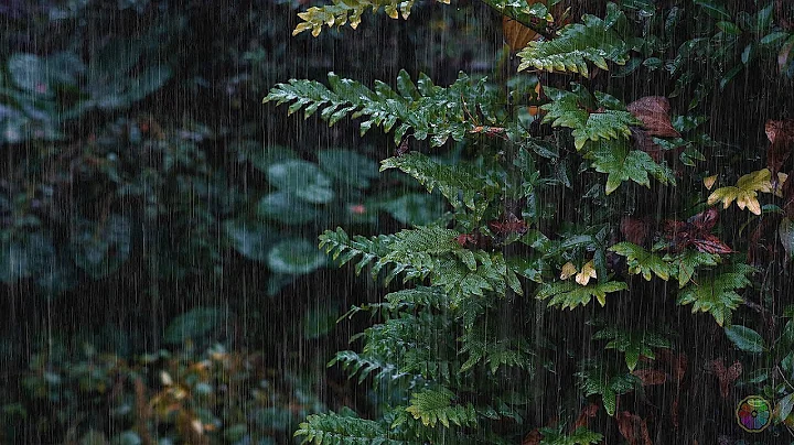 ✅世界公認最佳放鬆雷雨聲，樹林自然白噪音放鬆睡眠音樂雷雨聲，白噪音，PTSD，asmr，雷暴，學習，工作，冥想，失眠，催眠，雨聲入睡，【sleeping rain sounds】 - 天天要聞