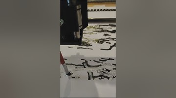 painting with a pen plotter #generativeart #penplotter