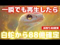 【※巳年限定】再生した瞬間に「88億」の臨時収入が確定します【金運上昇祈願】
