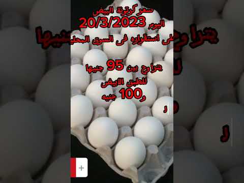 سعر كرتونة البيض اليوم 20 3 2023 للمستهلك في السوق المحلية