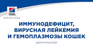 Вебинар на тему: “Иммунодефицит, вирусная лейкемия и гемоплазмозы кошек. Патогенез и диагностика.”