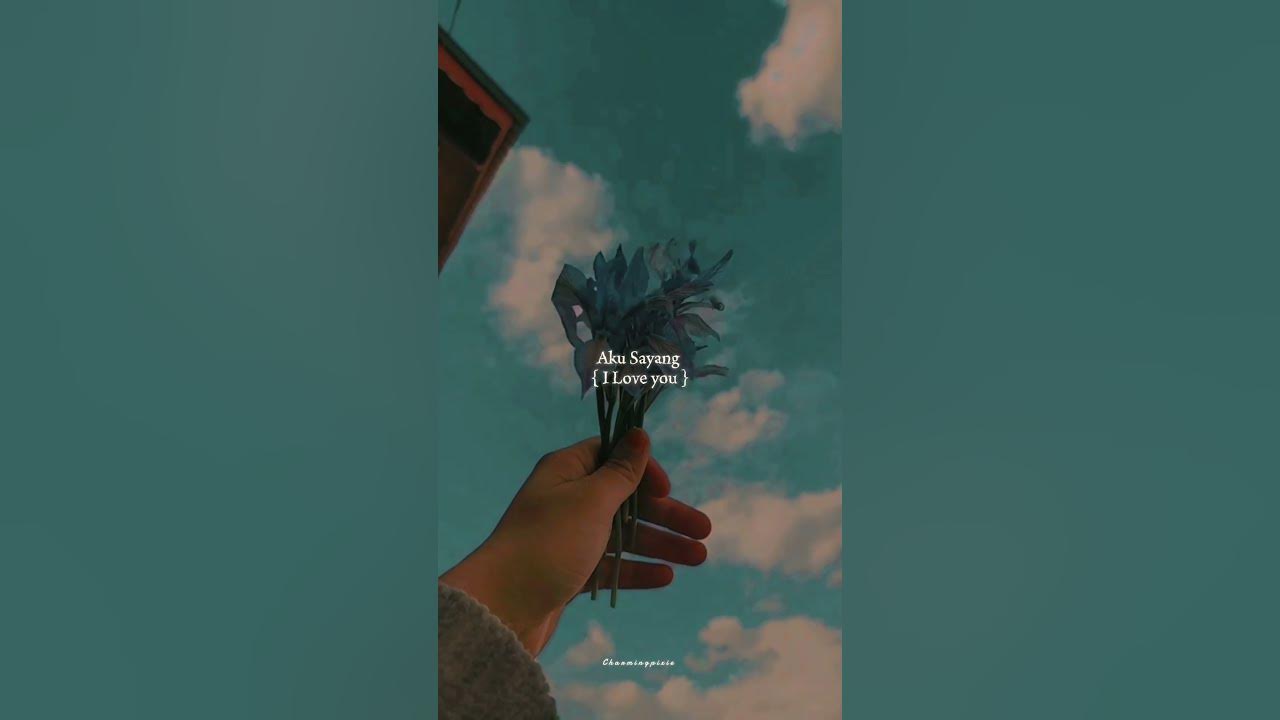 Aku Sayang X sprinterLyrics|Titi Kamal#naturevibe#viralsong#akusayang#edit#rindusemalam#trending#fyp Aku Sayang X sprinterLyrics|Titi Kamal#naturevibe#viralsong#akusayang#edit#rindusemalam#trending#fyp