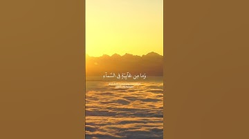 سورة النمل | إسلام صبحي #قران_كريم #سورة_النمل #اسلام_صبحي