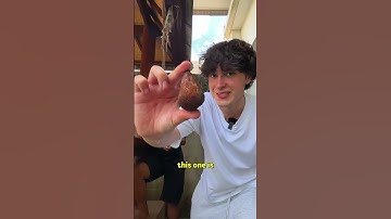 Thumbnail of Mencoba Buah Eksotis Indonesia 🇮🇩 #indonesia