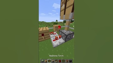 Minecraft Block Swapper #shorts