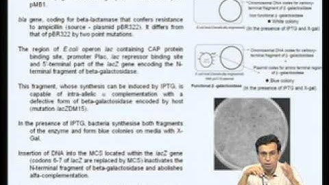Mod-08 Lec-29 Cloning and Expression vectors