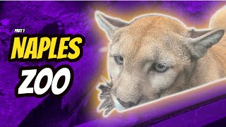 Naples Zoo Part 1 - Macaws - Florida Panther.