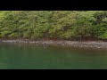 シングルハンドフライキャスティング WFフルライン
