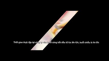 BÁO CÁO THỰC TẬP NGHỀ NGHIỆP_ Họ và tên: Trần Thị Thu Hiền- IDSV: 46584 - lớp: AT19A1A