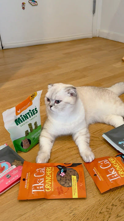Healthy snack with a twist 🙈😂 #kikicutekitty #healthysnack #twoingredients #funny #cocoandkiki