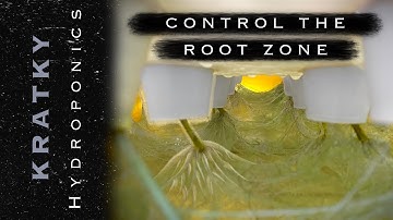 The Key To Making Kratky Hydroponics Work