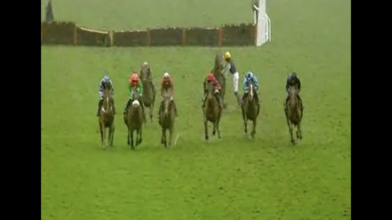 Horse Racing Death 216 The Great Alfie at Ffos Las Racecourse YouTube