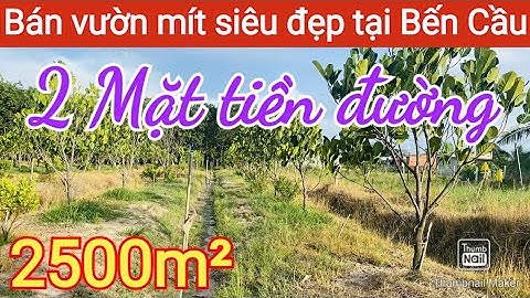 Bán đất vườn mít 2 mặt tiền đường - Hàng rào hết đất kiên cố tại Bến Cầu | Điền Thổ Tây Ninh
