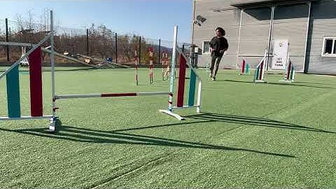 Agility : Handling with Agur 14/11/2025