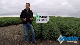 Stine 01EA63
