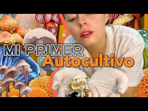MI PRIMER AUTOCULTIVO DE 🍄 ✨Video Anti-tutorial✨