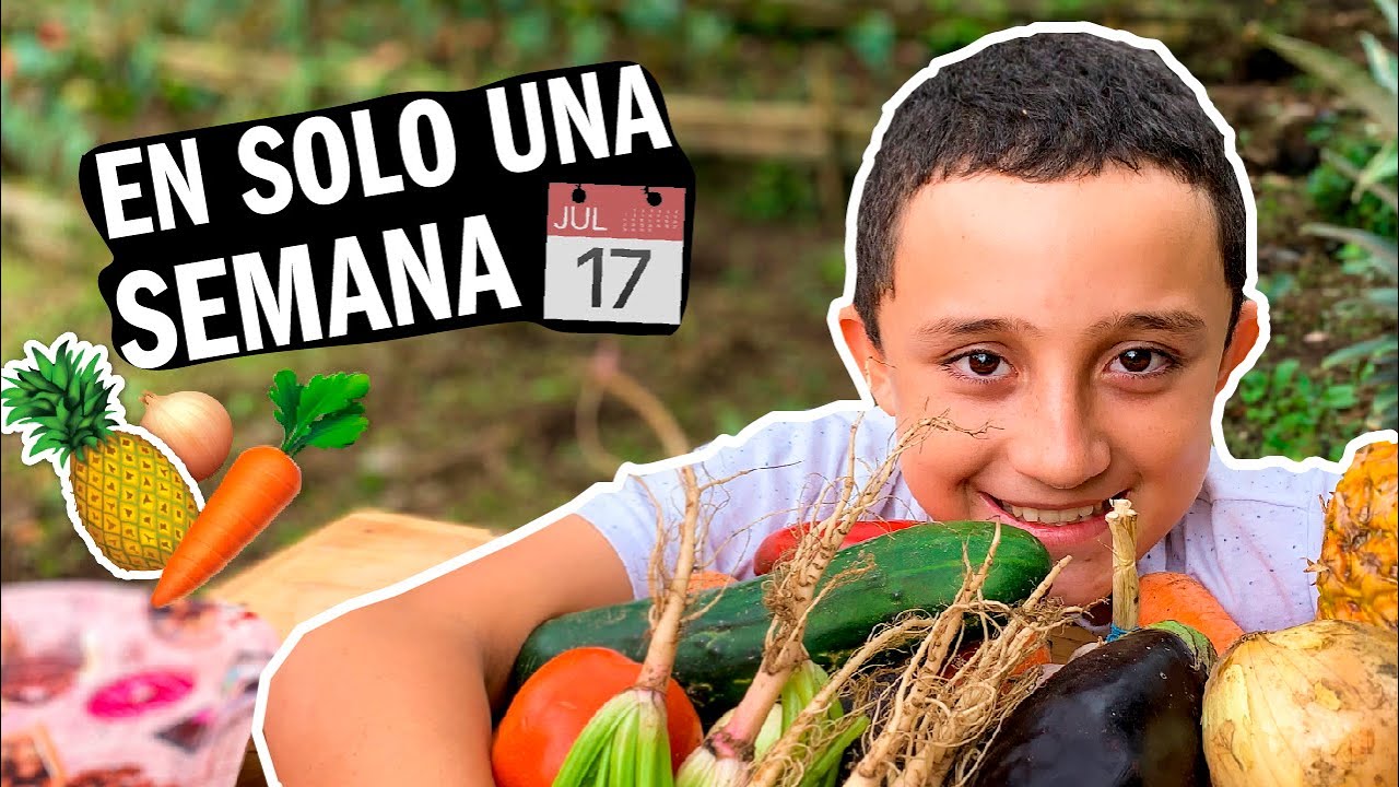 GERMINA TODOS TUS VEGETALES SIN SEMILLA RAPIDO! - Huerta casera en agua