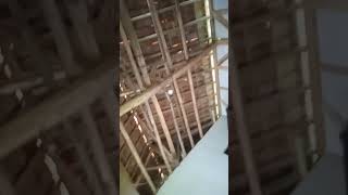 Download Lagu 21 Oktober 2025 MP3