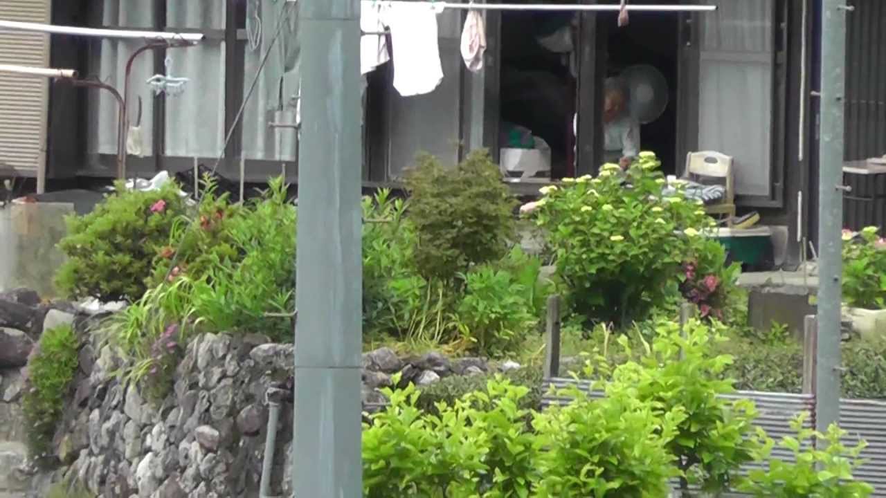 The Japan Valley Of Tea