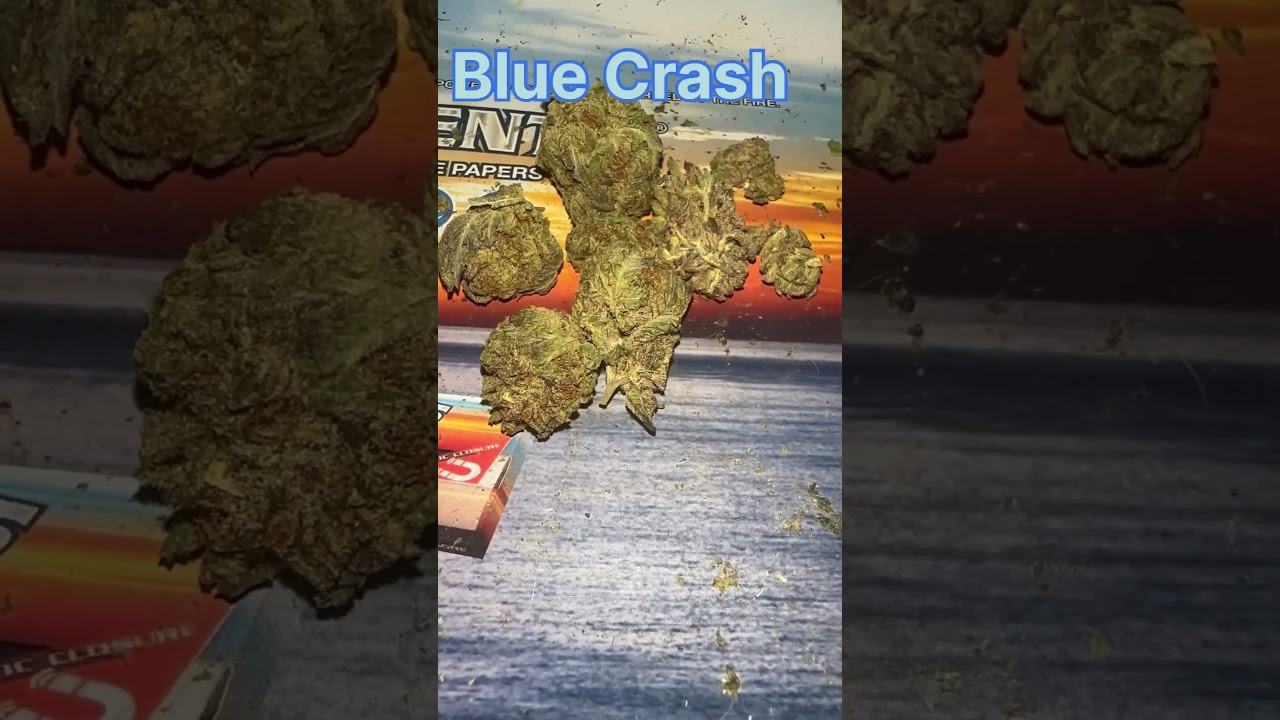 Blue Crash Cannabis Strain 