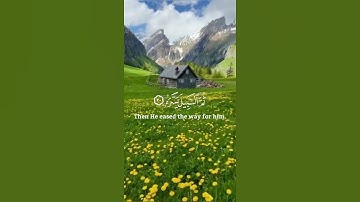 سورة عبس القارئ عكاشة كميني